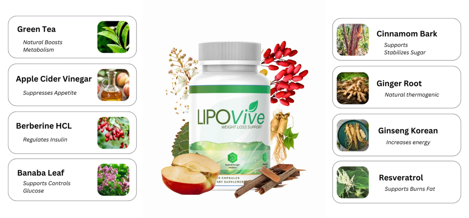 LipoVive Ingredients