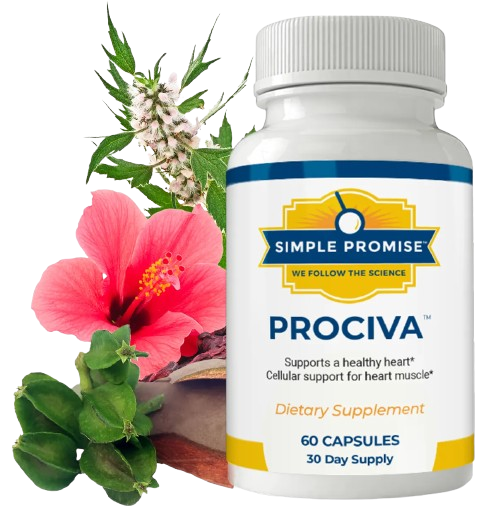 Prociva review
